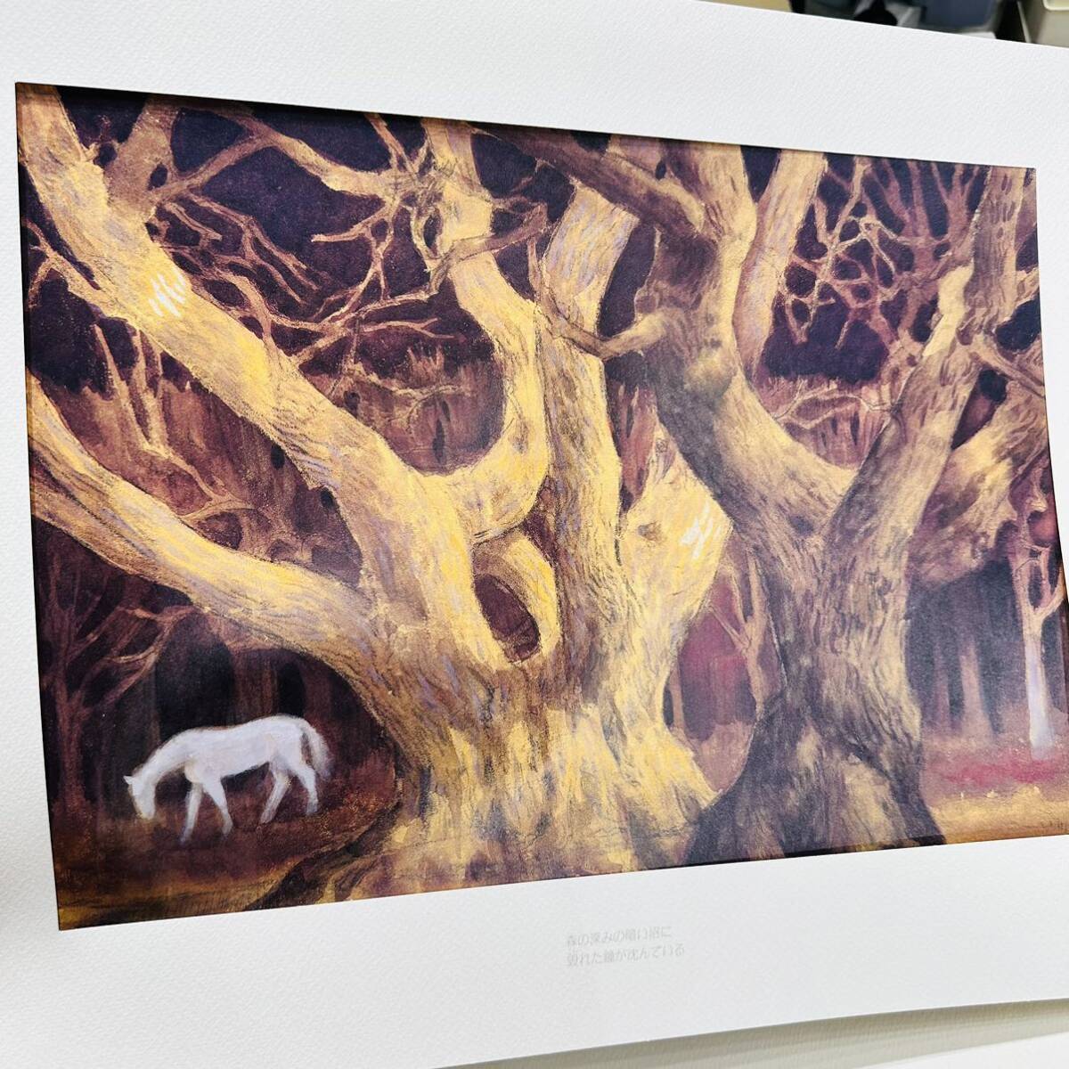 東山魁夷 白馬幻想 全18作品 リトグラフ 美品｜Yahoo!フリマ（旧PayPay