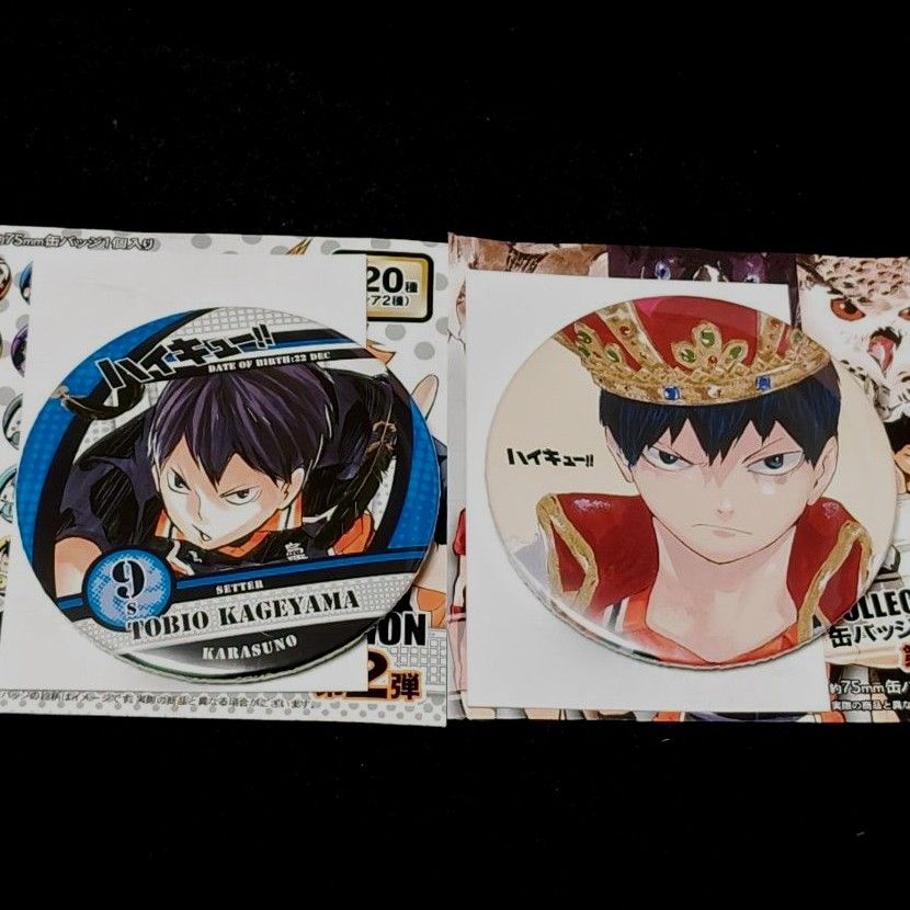 ハイキュー!! コレクション缶バッジ 原作 第3弾 10点 未開封