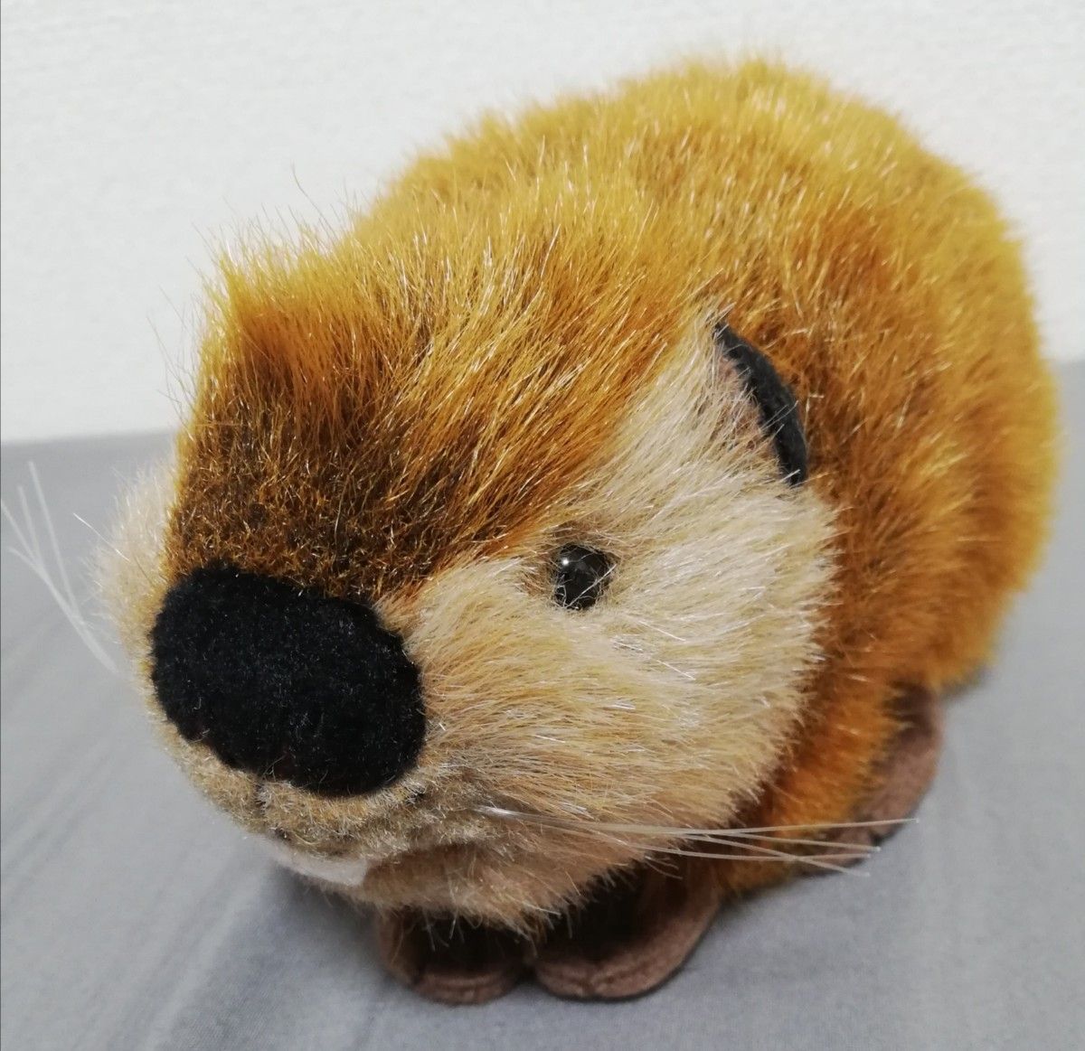 SUPER BEAVER スーパービーバーちゃん ぬいぐるみ 公式グッズ 吉徳