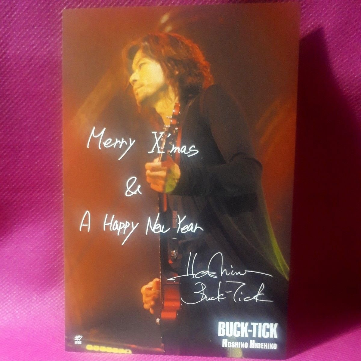 サイン 10枚組 ポストカード 星野英彦 櫻井敦司 BUCK-TICK FISH TANK