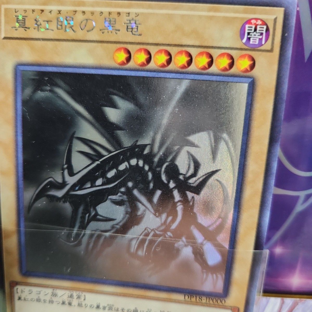 PSA10】 レッドアイズブラックドラゴン ホロ 2017 PSA10 】2017年