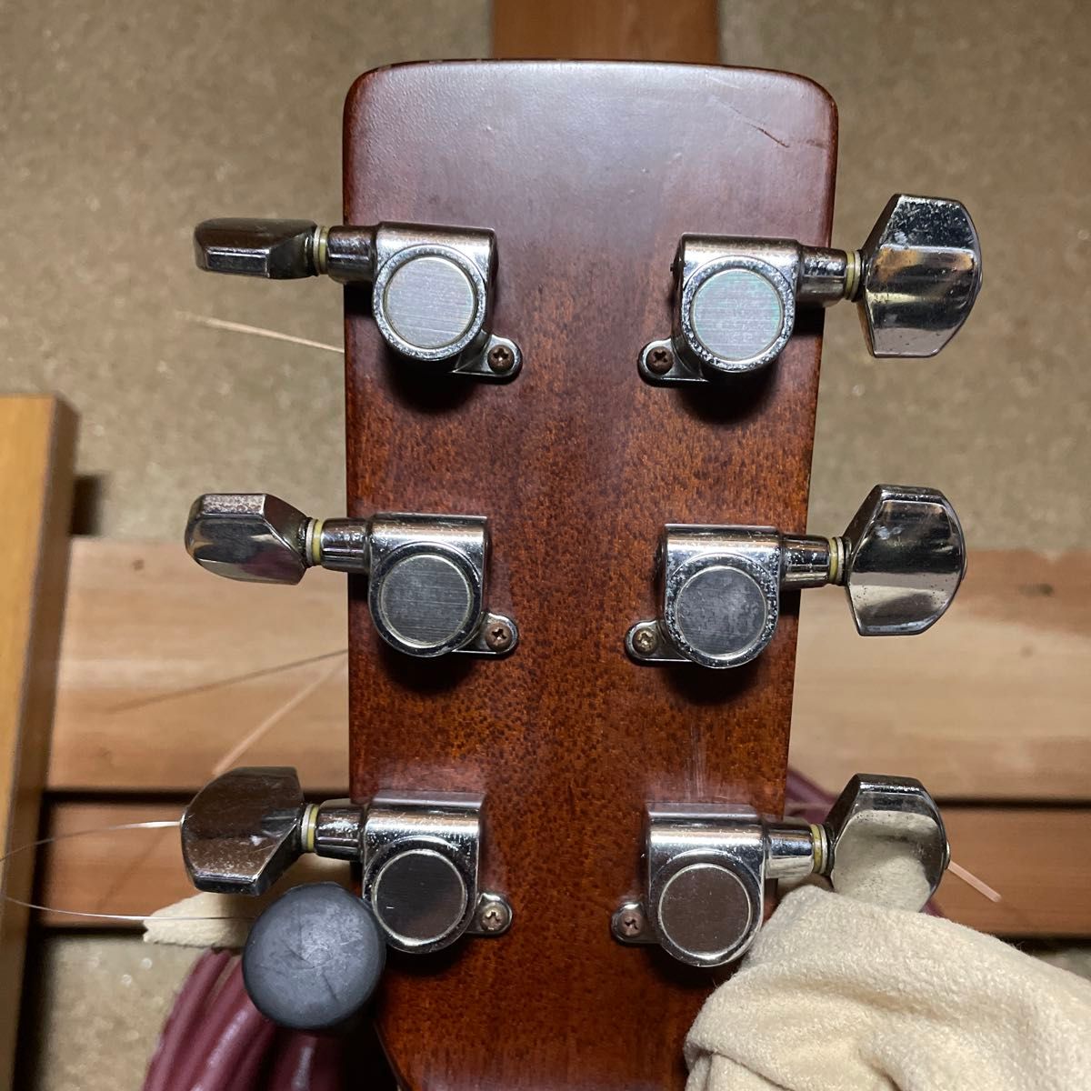 Morris モーリス アコースティックギター MT-40 縦ロゴ ジャパン