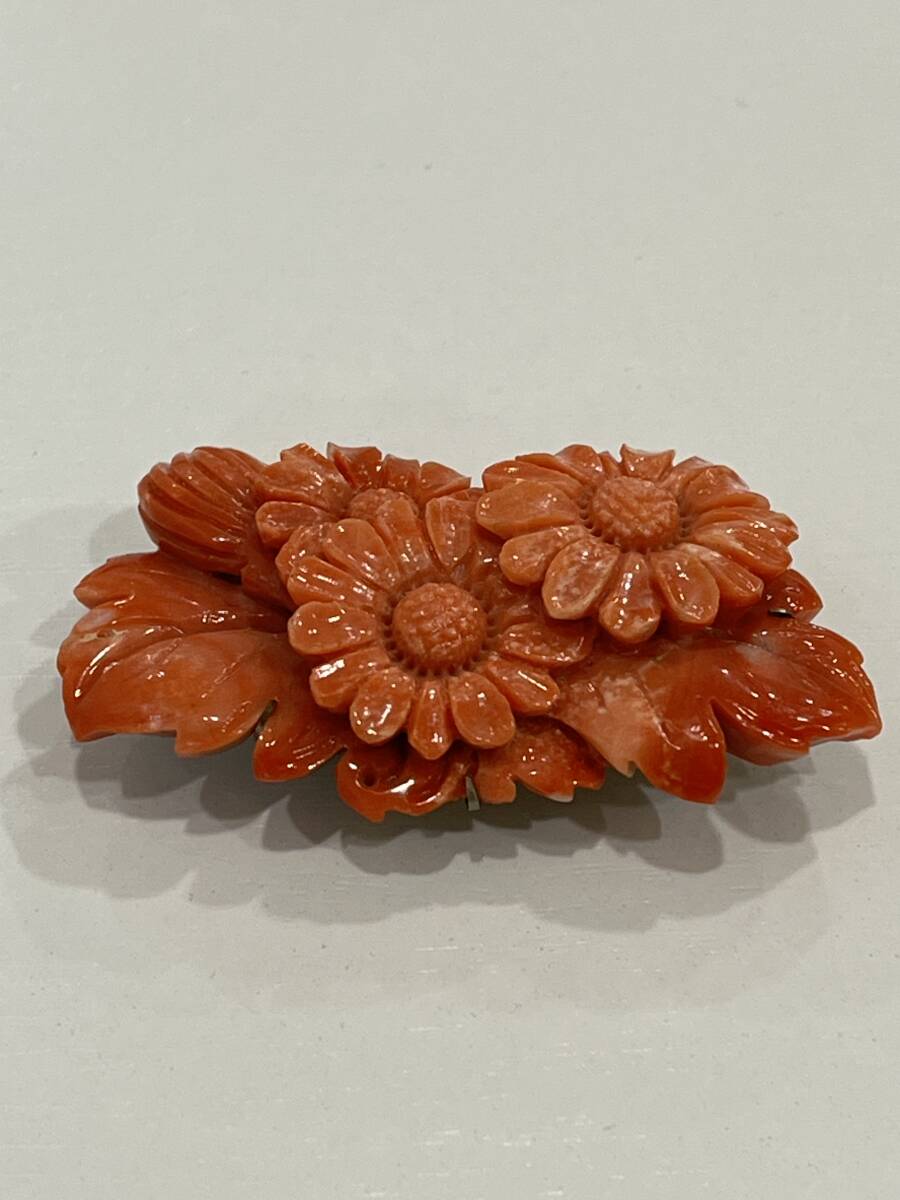アンティーク赤サンゴ本珊瑚牡丹の花の彫刻帯留め19g