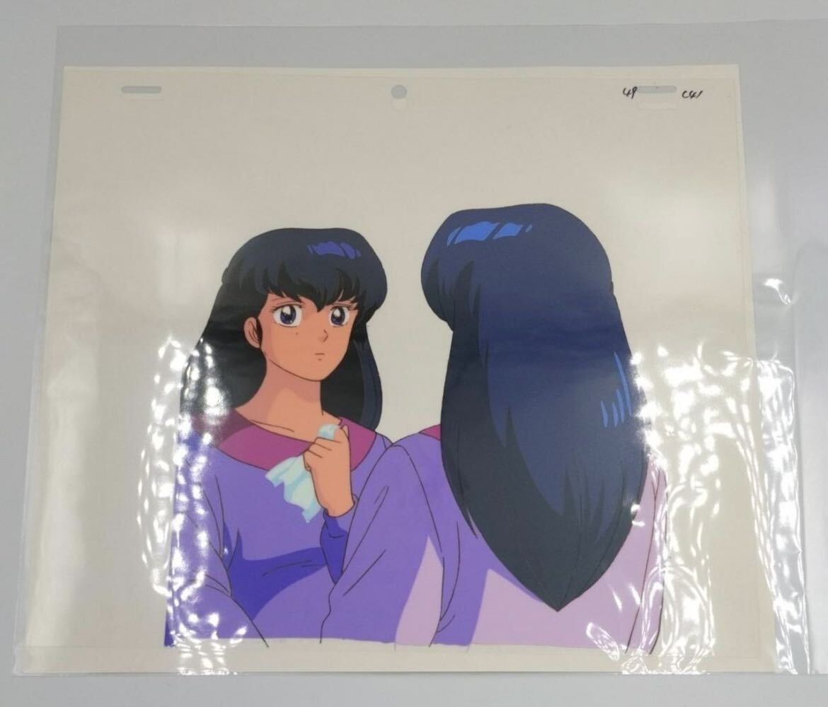 Yahoo!オークション - めぞん一刻 音無響子 セル画