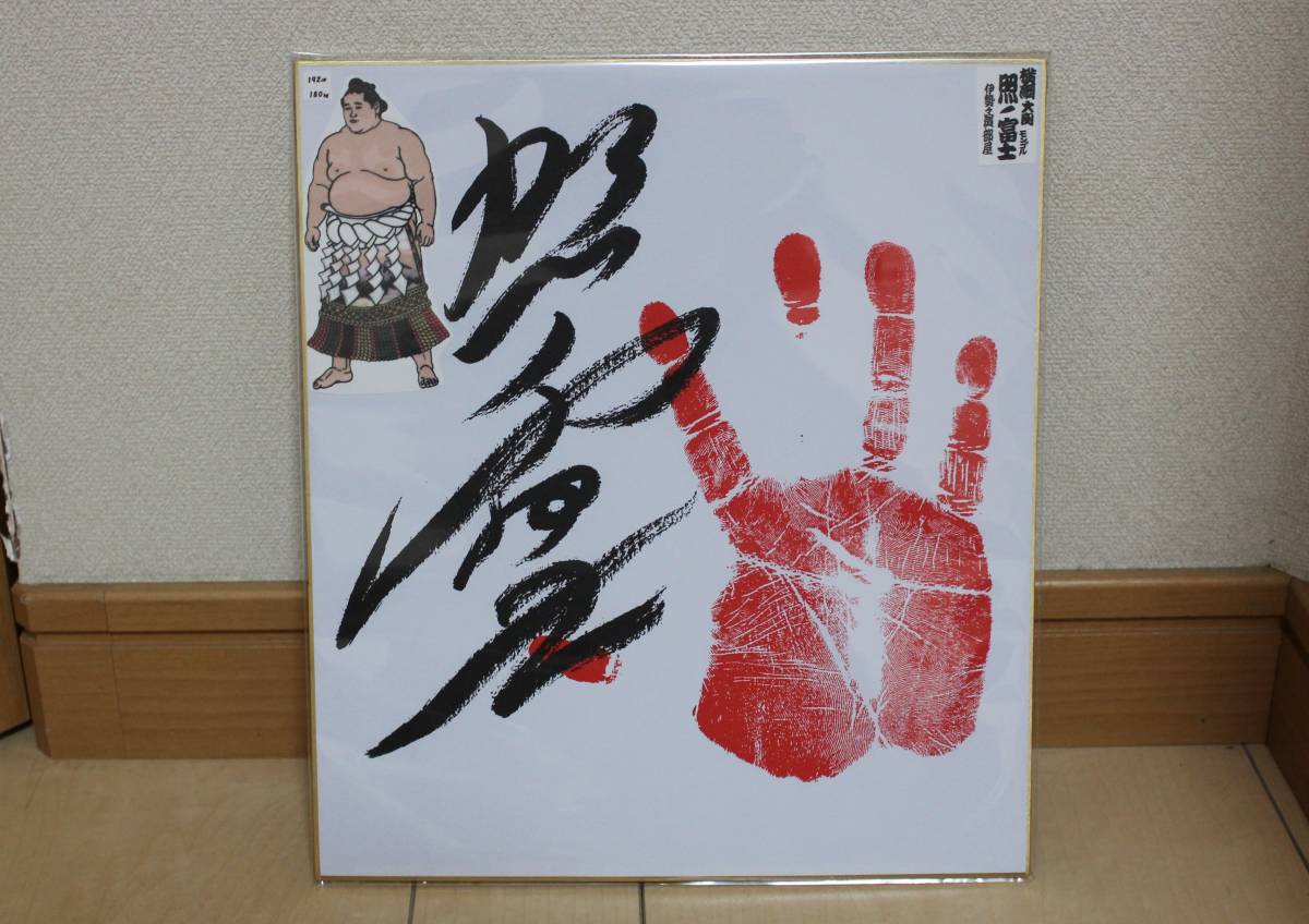 Yahoo!オークション - 大相撲 横綱 照ノ富士 手形サイン色紙