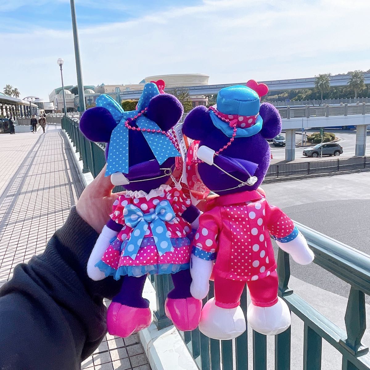 ディズニー パルパルーザ ファンダーランド ミッキー ミニー ぬいば