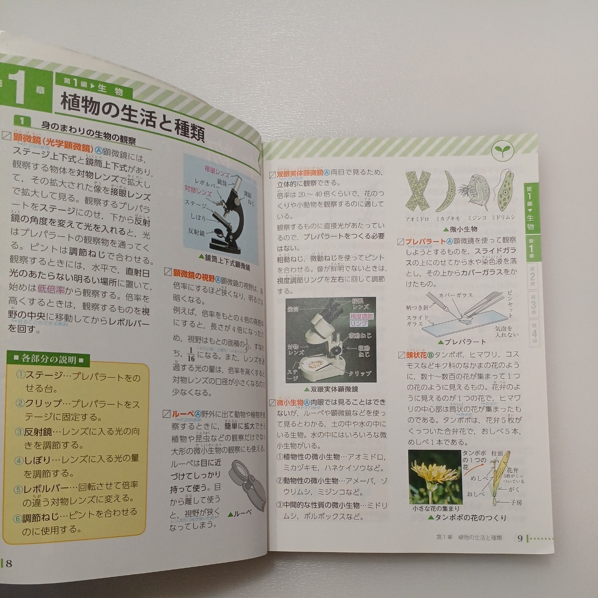 zaa-541 自由自在Pocket 中学 詳説 用語＆資料集 理科＋社会 2冊セット