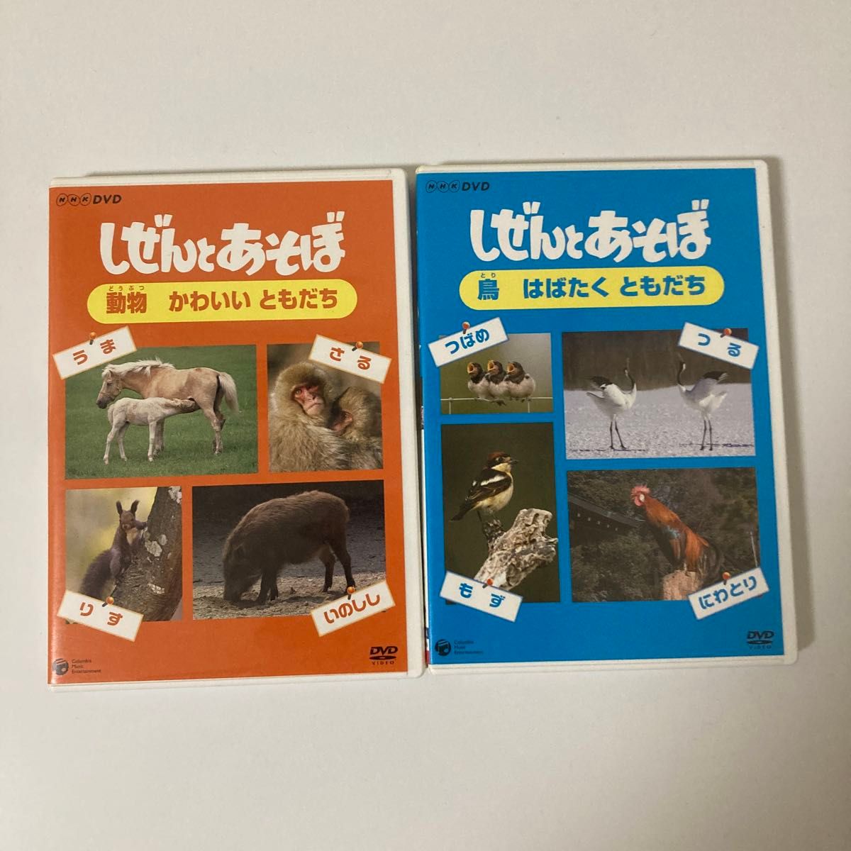しぜんとあそぼ DVD NHK 動物 鳥｜Yahoo!フリマ（旧PayPayフリマ）
