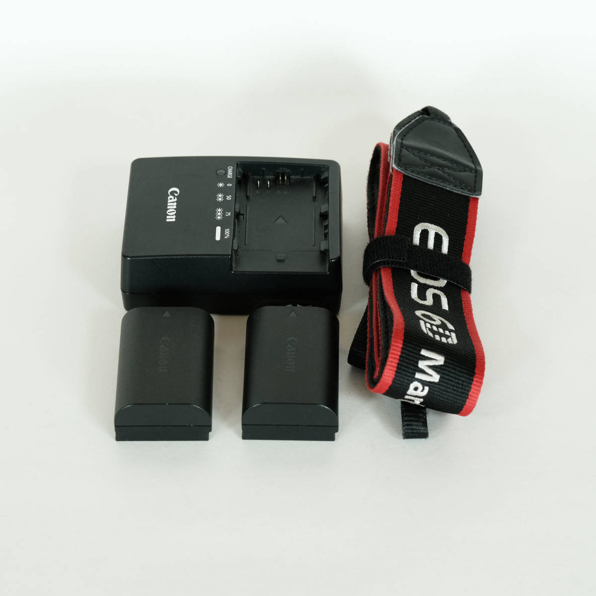 シャッター数34 242回｜純正バッテリー2個付] Canon EOS 6D Mark II