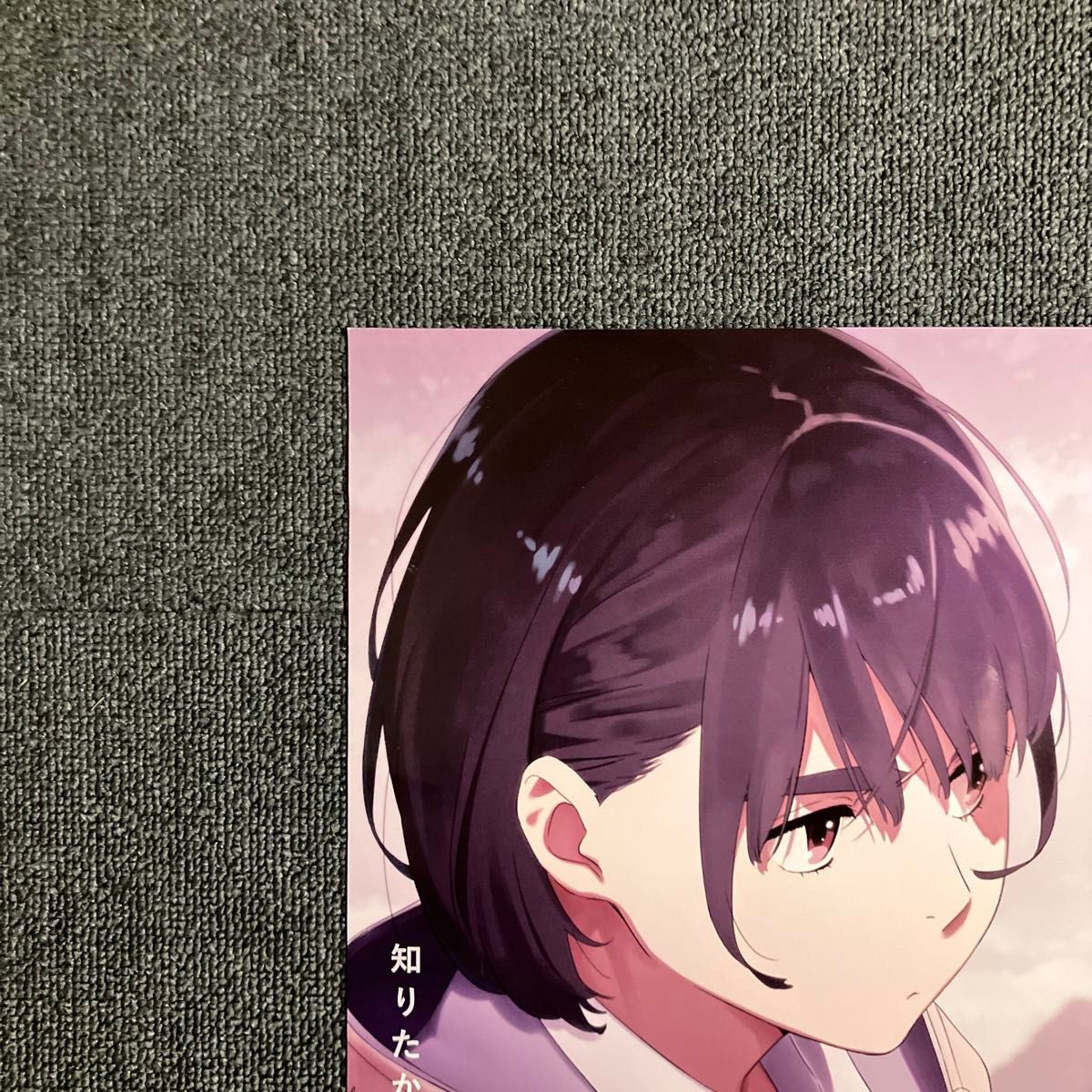 空の青さを知る人よ』告知ポスター 非売品 アニメ 映画 ムービー あい