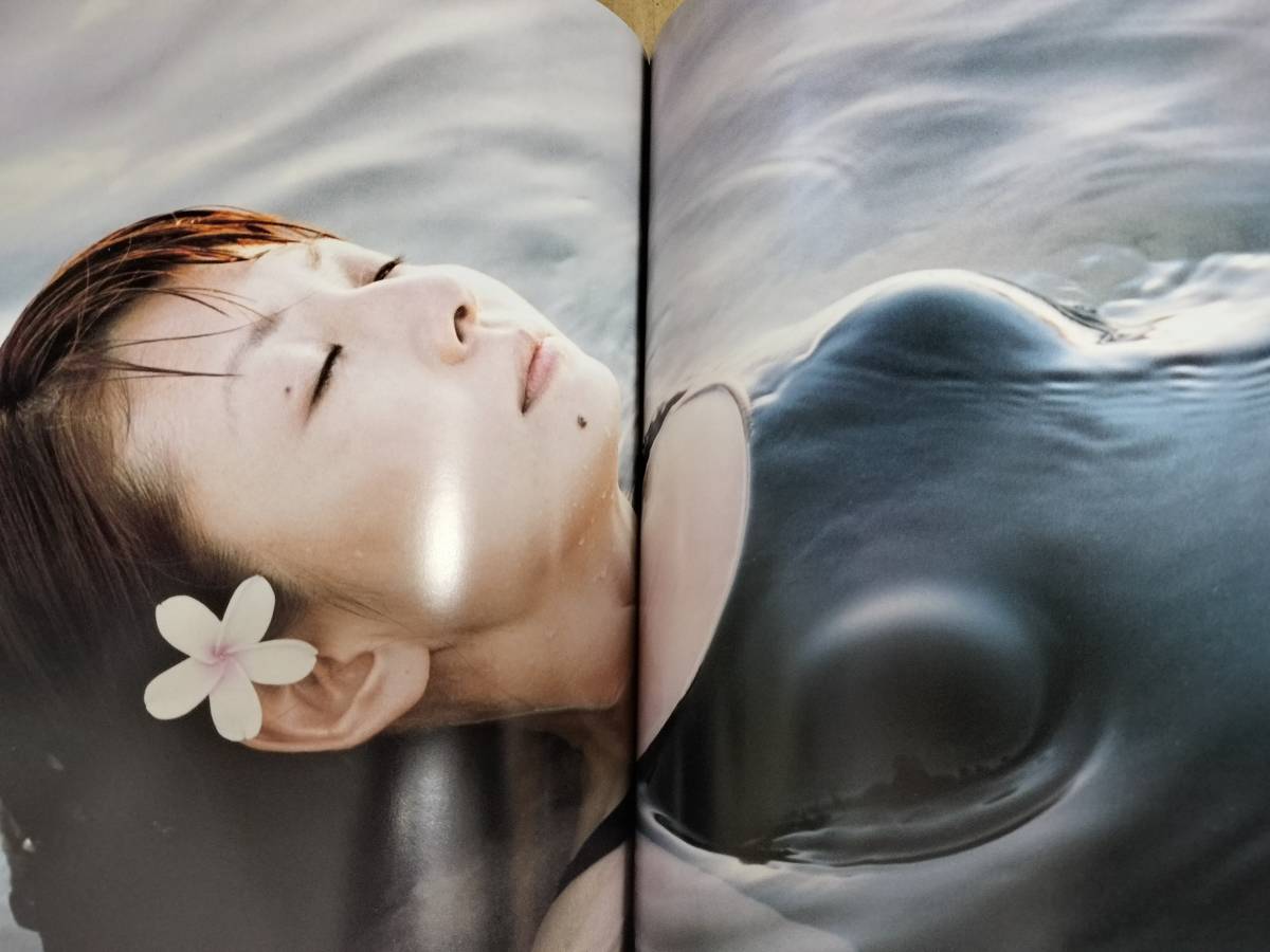 Yahoo!オークション - 絶版 南野陽子 20th Anniversary 写真集 Flower