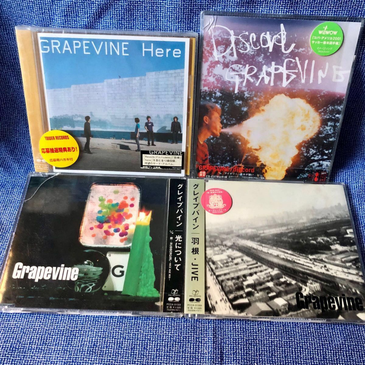 おまけ付き グレイプバイン/Here 光について 羽根 discord GRAPEVINE