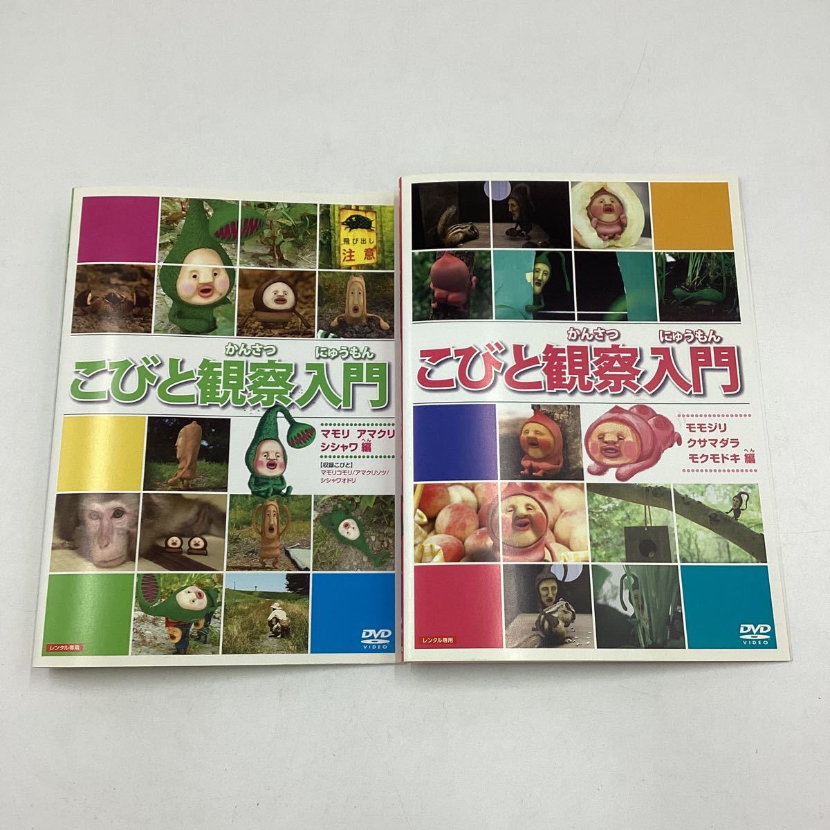 Yahoo!オークション - こびと観察入門 こびとづかん 2巻セット DVD 中