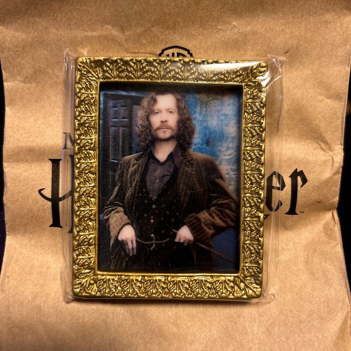 ハリーポッター 肖像画マグネットコレクション シリウス・ブラック