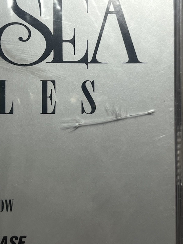 ルナシー レコード CD DVD INORAN SUGIZO 河村隆一 LUNA SEA レコード