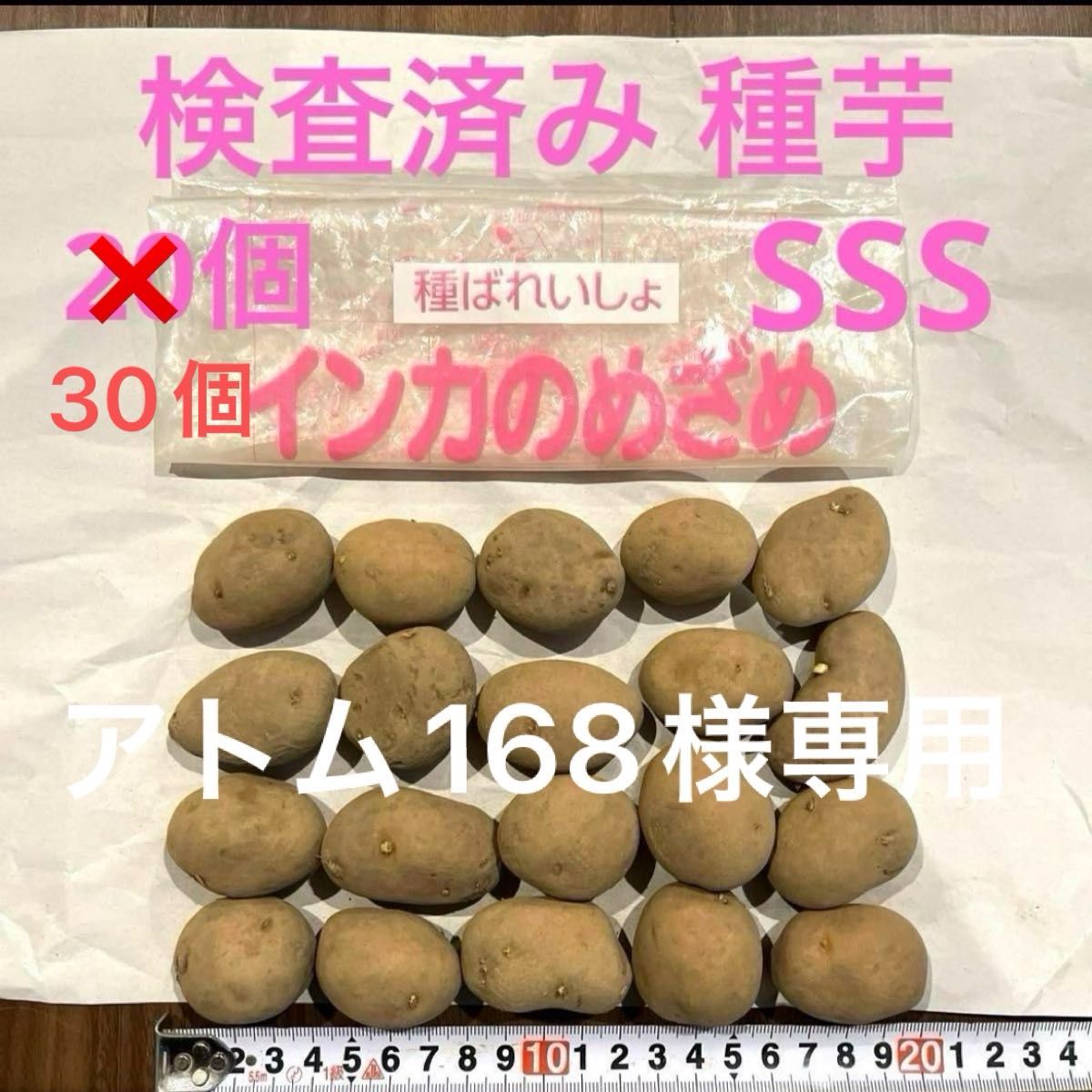 ① 希少 インカのめざめ 検査済み 種イモ 種芋 幻のじゃがいも 30個