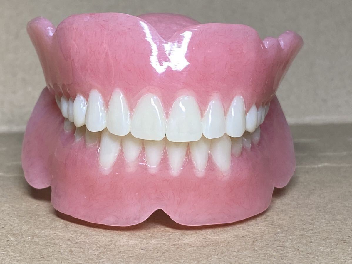 総義歯 フルデンチャー 歯科 歯科技工 サンプル 見本｜Yahoo!フリマ