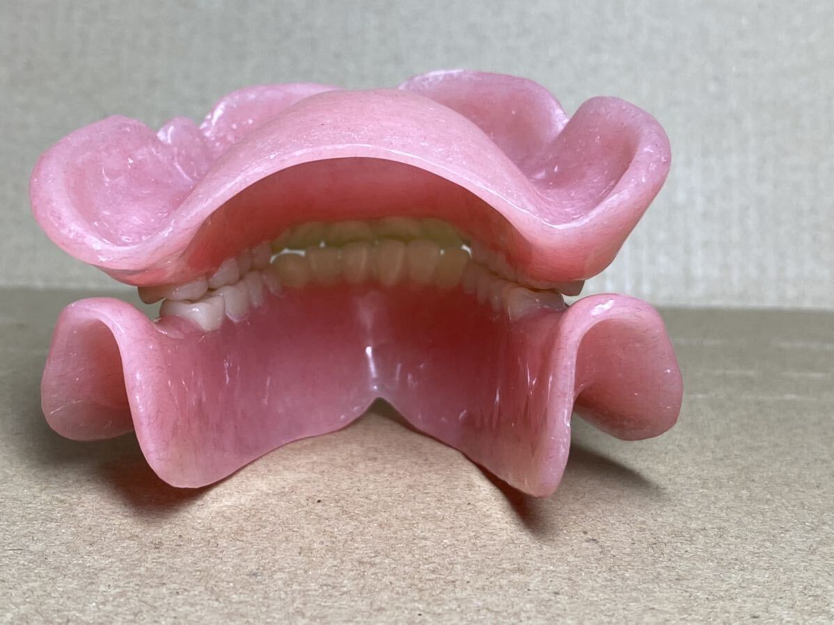 総義歯 フルデンチャー 歯科 歯科技工 サンプル 見本｜Yahoo!フリマ