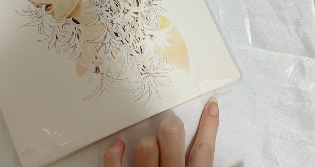 最終値下げ 米津玄師 絵本 サンタマリア 初回限定盤 リミテッド