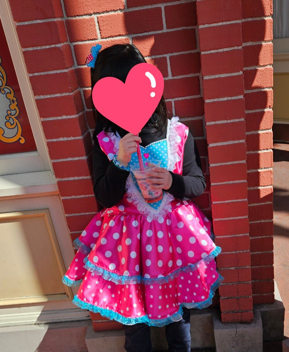 ディズニー パルパルーザ ミニー風衣装 110cm ディズニー パルパルーザ