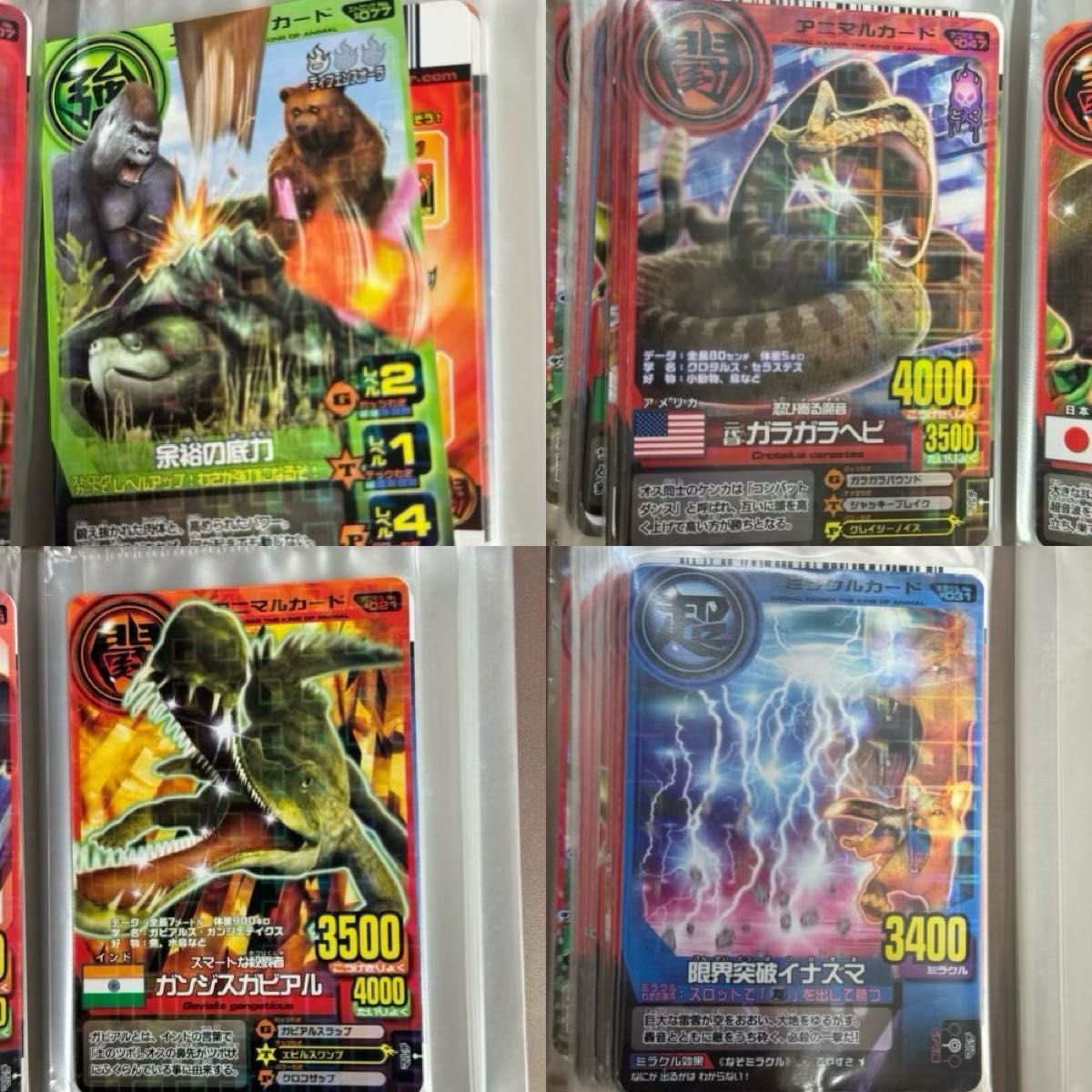 バラ売り不可 アニマルカイザー まとめ売り バラ売り不可 アニマル