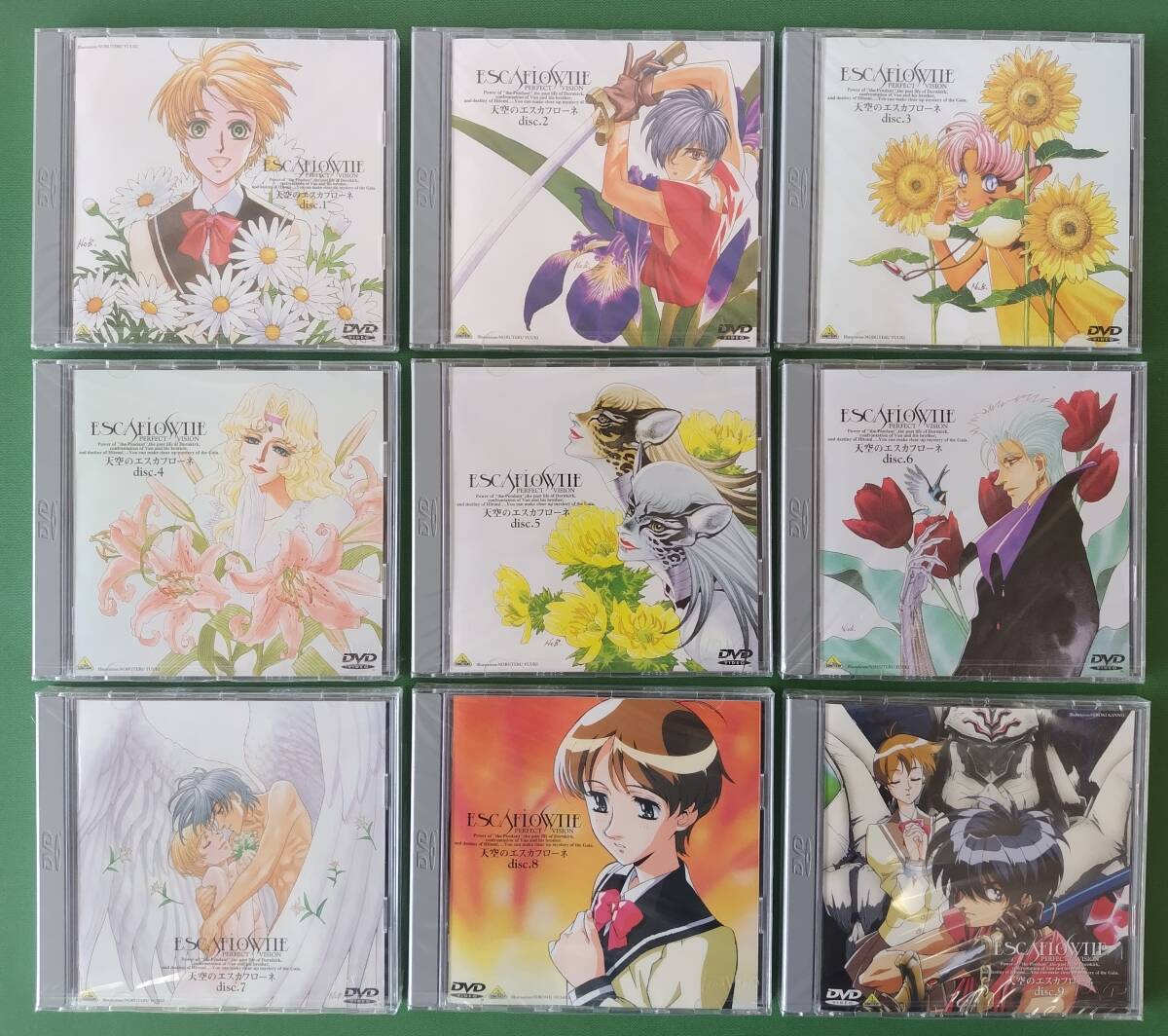 DVD-BOX】全ディスク未開封 『天空のエスカフローネ PERFECT VISION