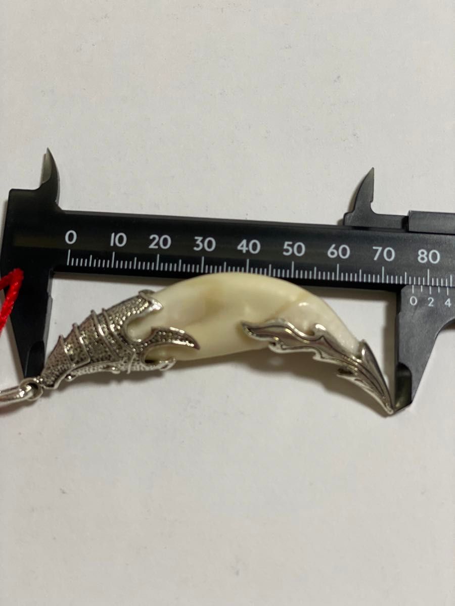 熊牙 ツキノワグマ熊の牙 ネックレス キーホルダー｜Yahoo!フリマ（旧