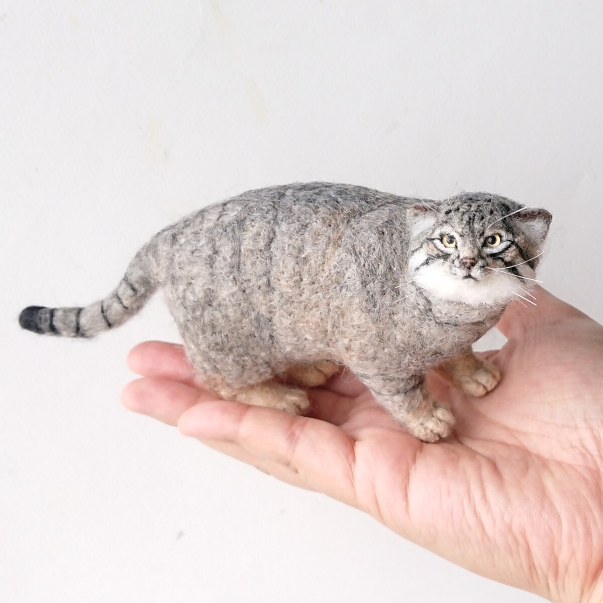 Yahoo!オークション - 羊毛フェルト猫 マヌルネコ ハンドメイド