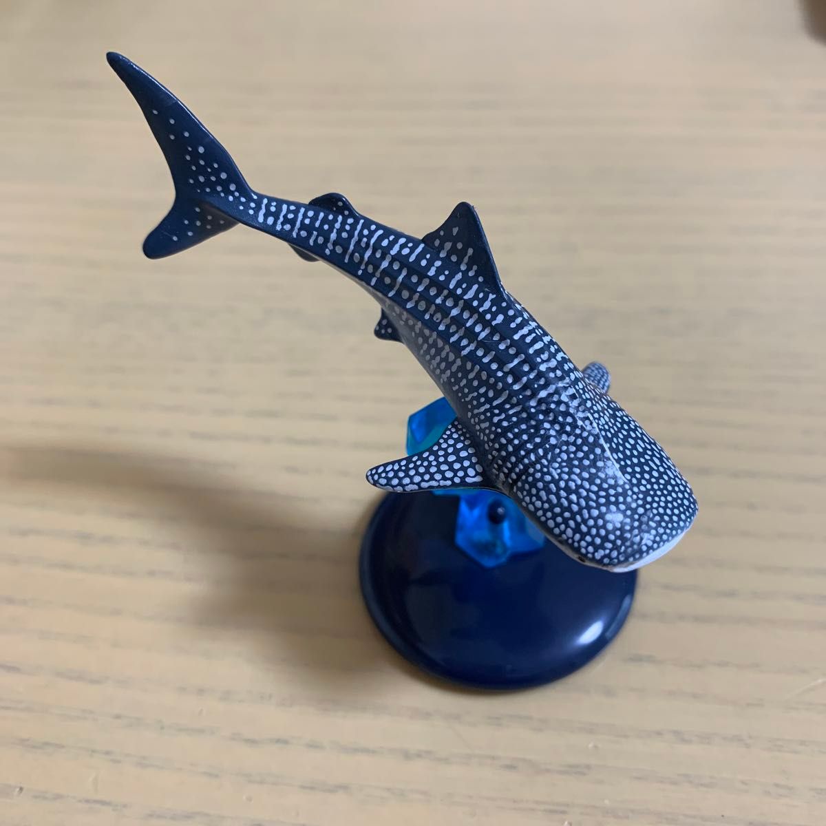 ネイチャーテクニカラー 海遊館 ガチャガチャ ジンベエザメ｜Yahoo