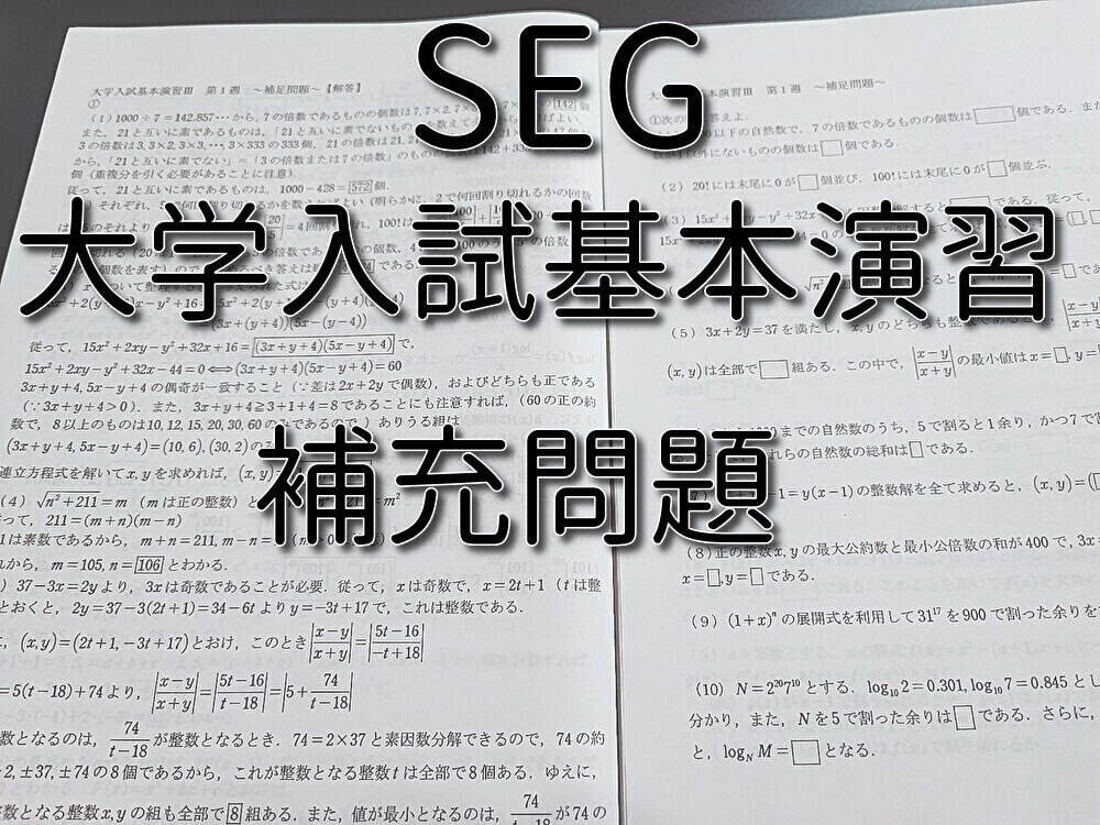SEG 大学入試基本演習Ⅲ 数学 補充問題プリント 上位校対策 駿台