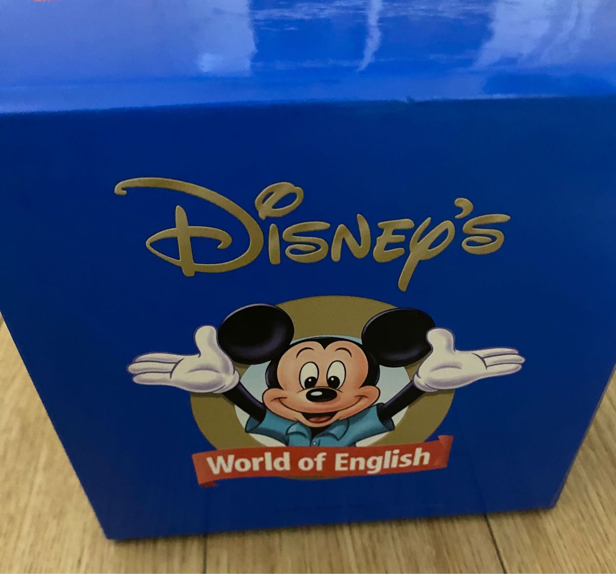 ディズニー World of English Sing Along DVD CD 冊子 シングアロング