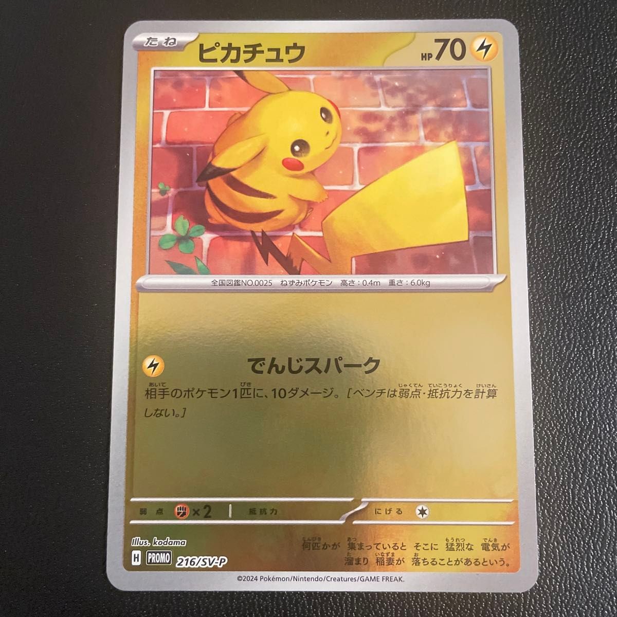 ポケモンカード ポケカの夏がキタ プロモ全6種 コンプリートセット