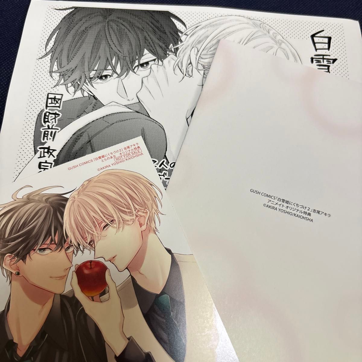 特典のみ 白雪姫にくちづけ2 / 吉尾アキラ｜Yahoo!フリマ（旧PayPay