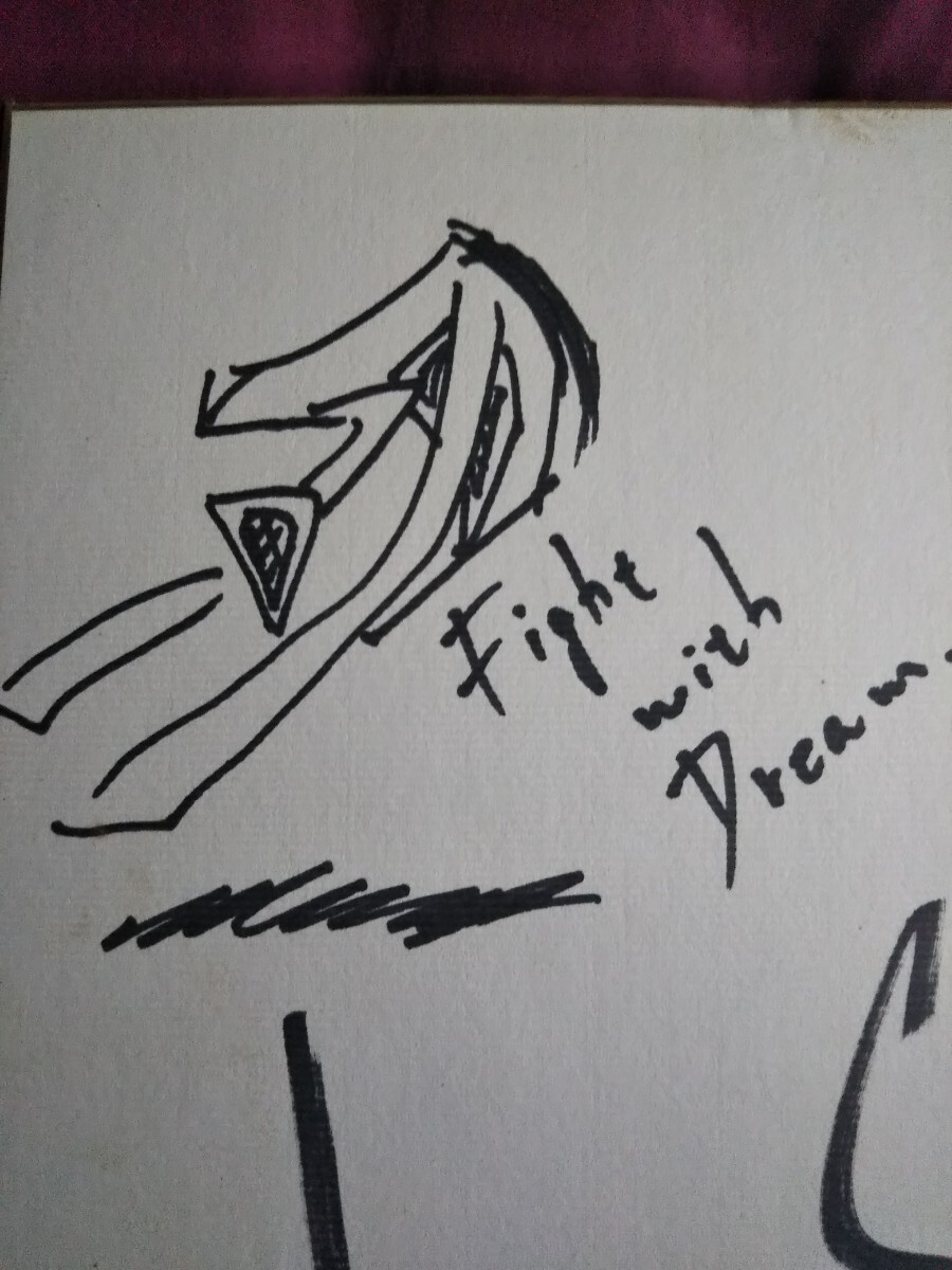 Yahoo!オークション - ハヤブサ直筆サイン色紙/貴重プロレスサイン/FMW