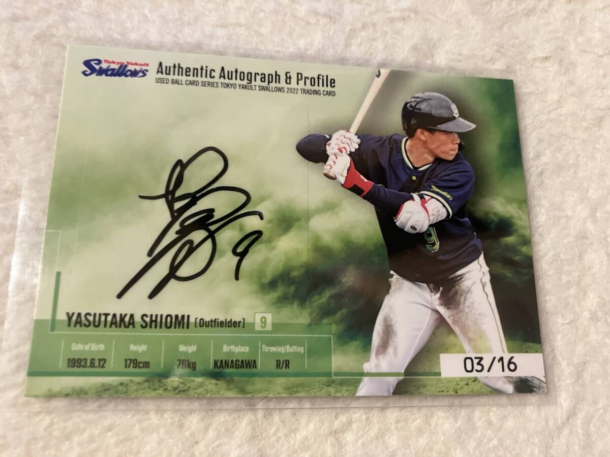 BBM 2018 塩見泰隆 直筆サインカード /50 ヤクルト 50枚限定 ルーキー