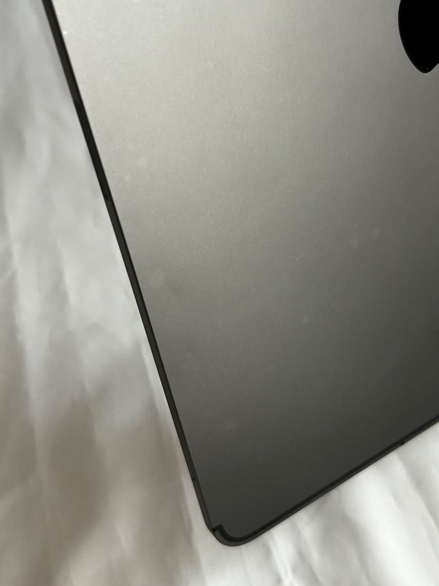 iPadPro 12 9インチ 第三世代 64GB Wi-Fi+Cellular OS18 Apple Pencil