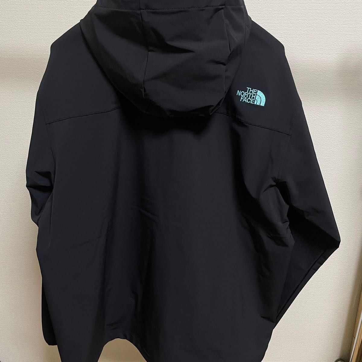 ノースフェイスマウンテン限定【93'Lasting Quality V3 Hoodie 】V3