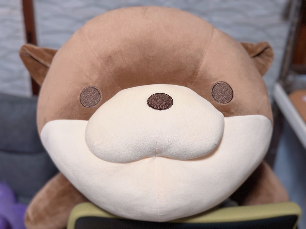 カワウソ ぬいぐるみくじ1等 アクアワールド大洗水族館｜Yahoo!フリマ