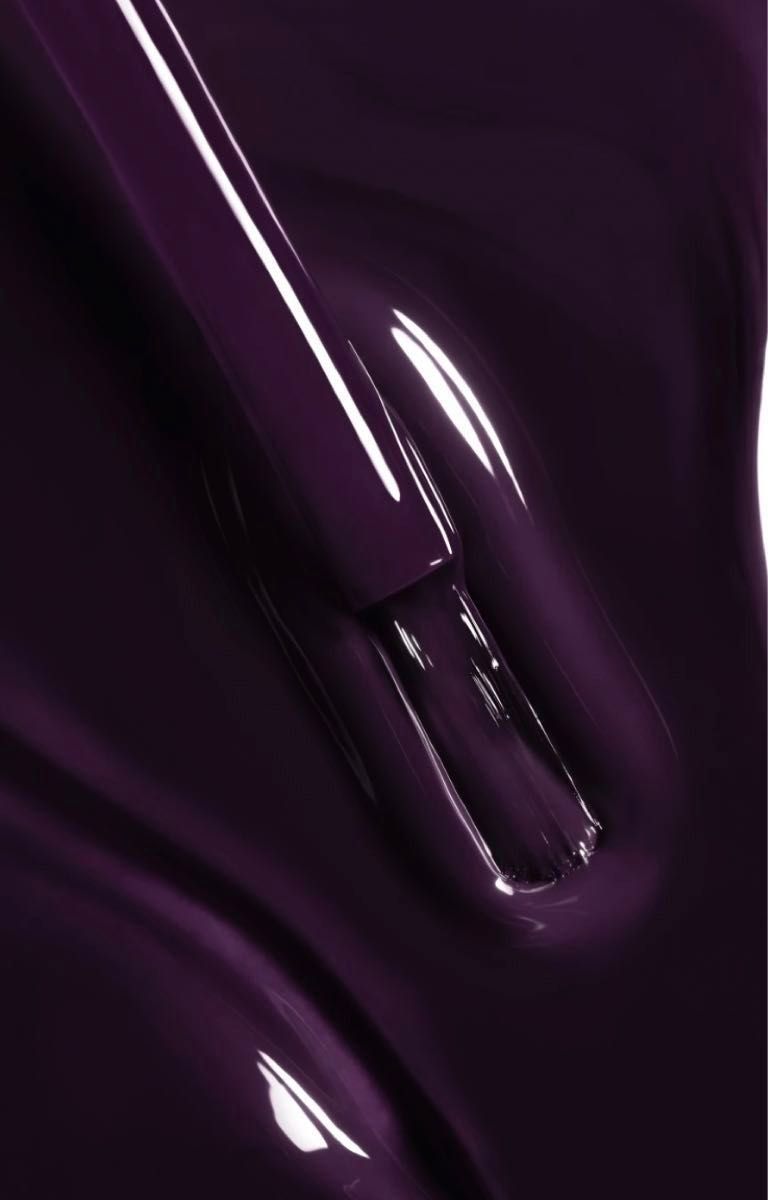 本日中発送 シャネル ネイル ヴェルニ #193 2024 ホリデー クリスマス