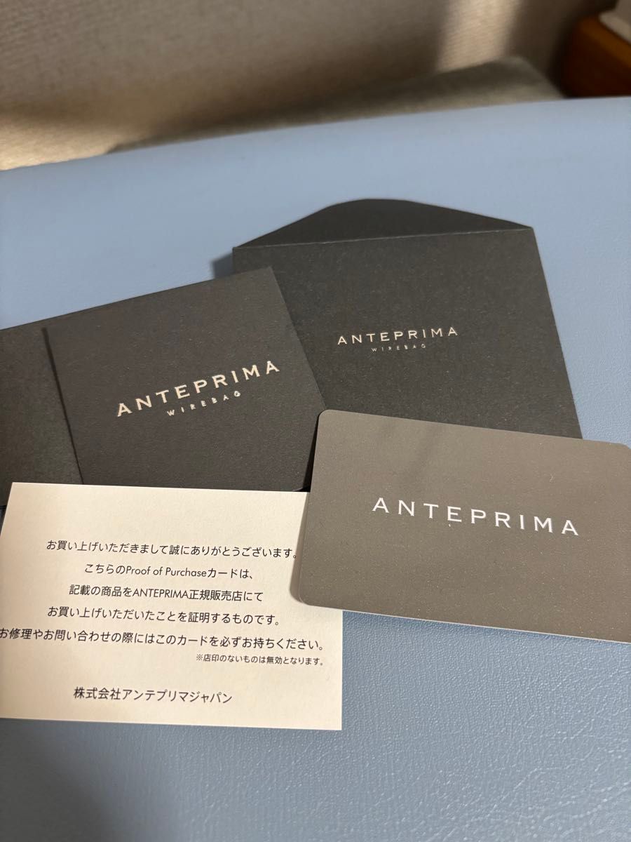 2024秋冬新作 アンテプリマ ワイヤーバッグ センプレ スモール