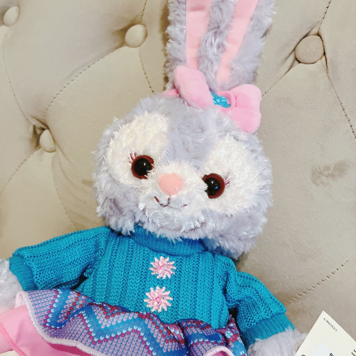 写真子発送❣️香港ディズニー 香港ディズニー ダッフィーフレンズ