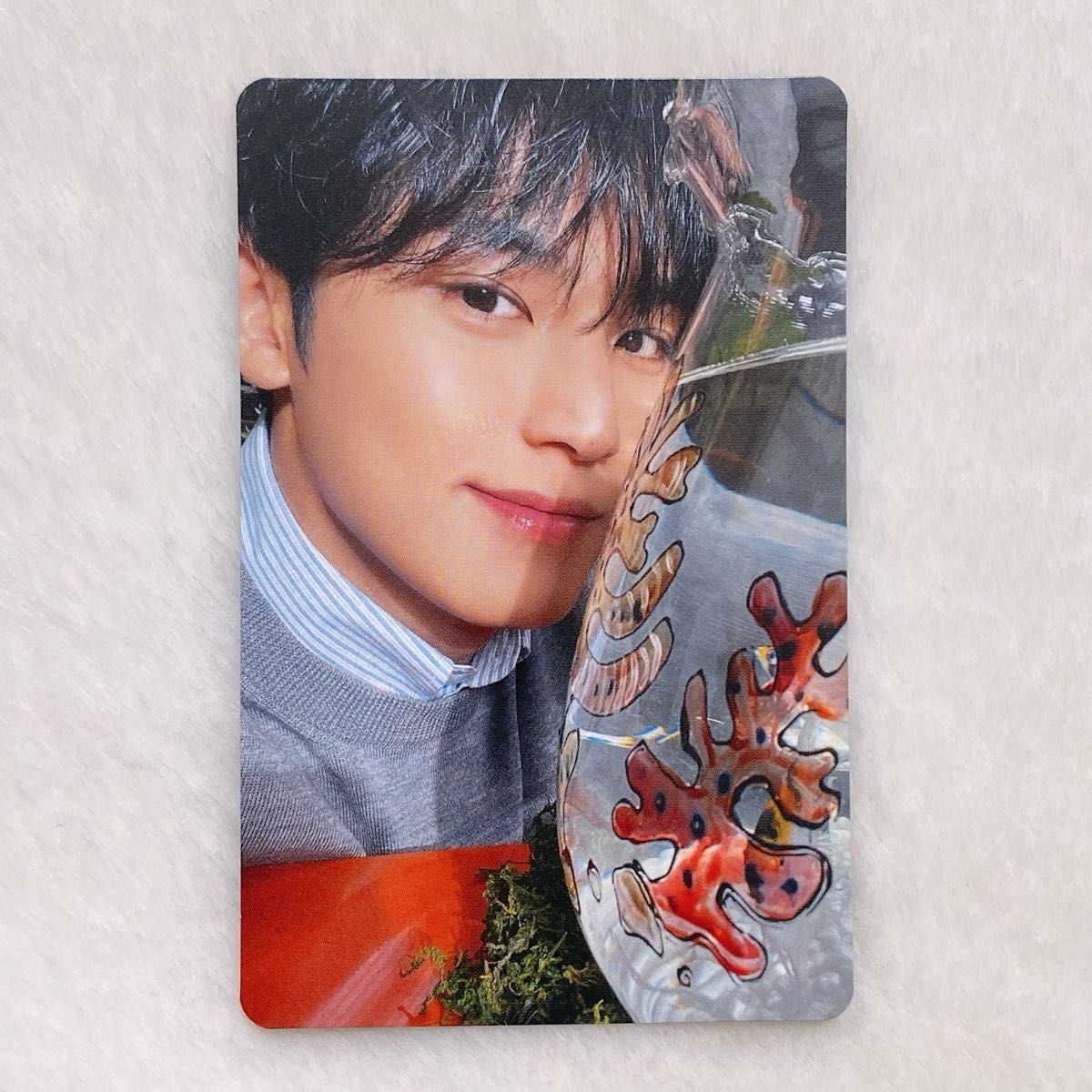 seventeen DREAM ユニバ ラキドロ ミンギュ トレカ