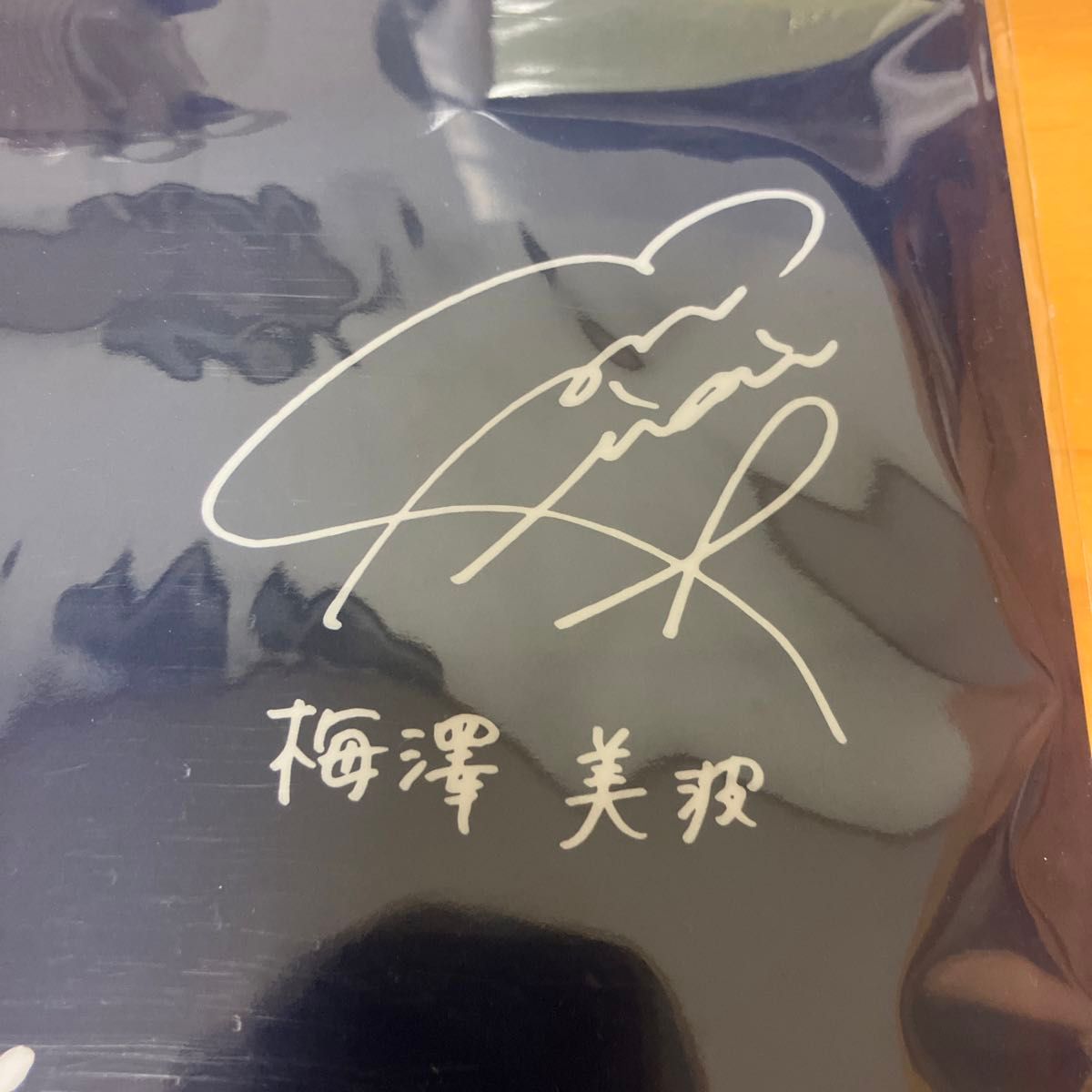 乃木坂46齋藤飛鳥梅澤美波遠藤さくら サイン入りクリアファイル カップ