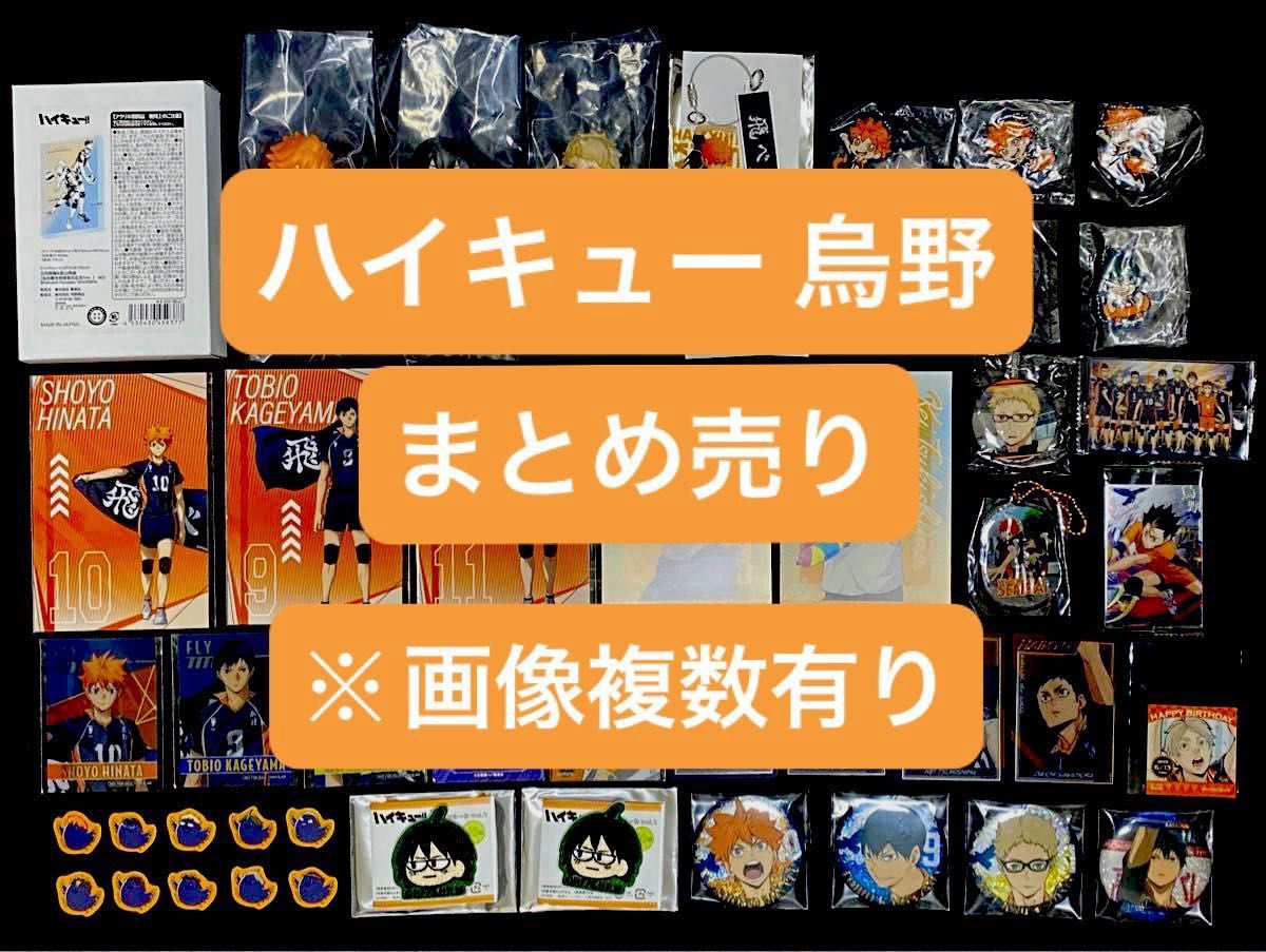 ハイキュー 日向翔陽 影山飛雄 月島蛍 山口忠 澤村大地 菅原孝支 東峰