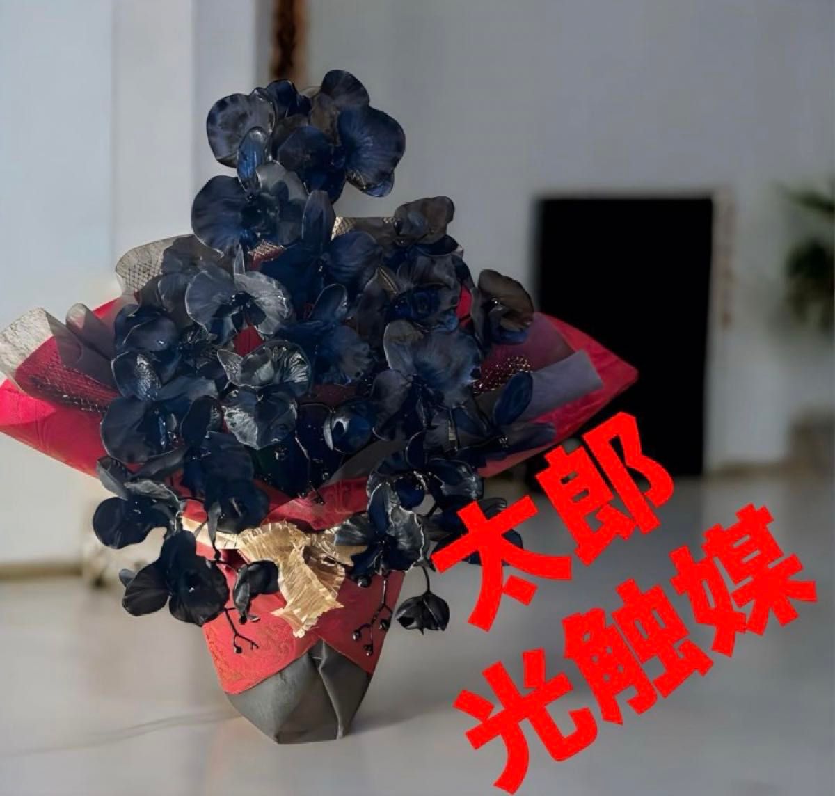 光触媒 人工観葉植物 ウォールグリーン フェイクグリーン ブラック胡蝶