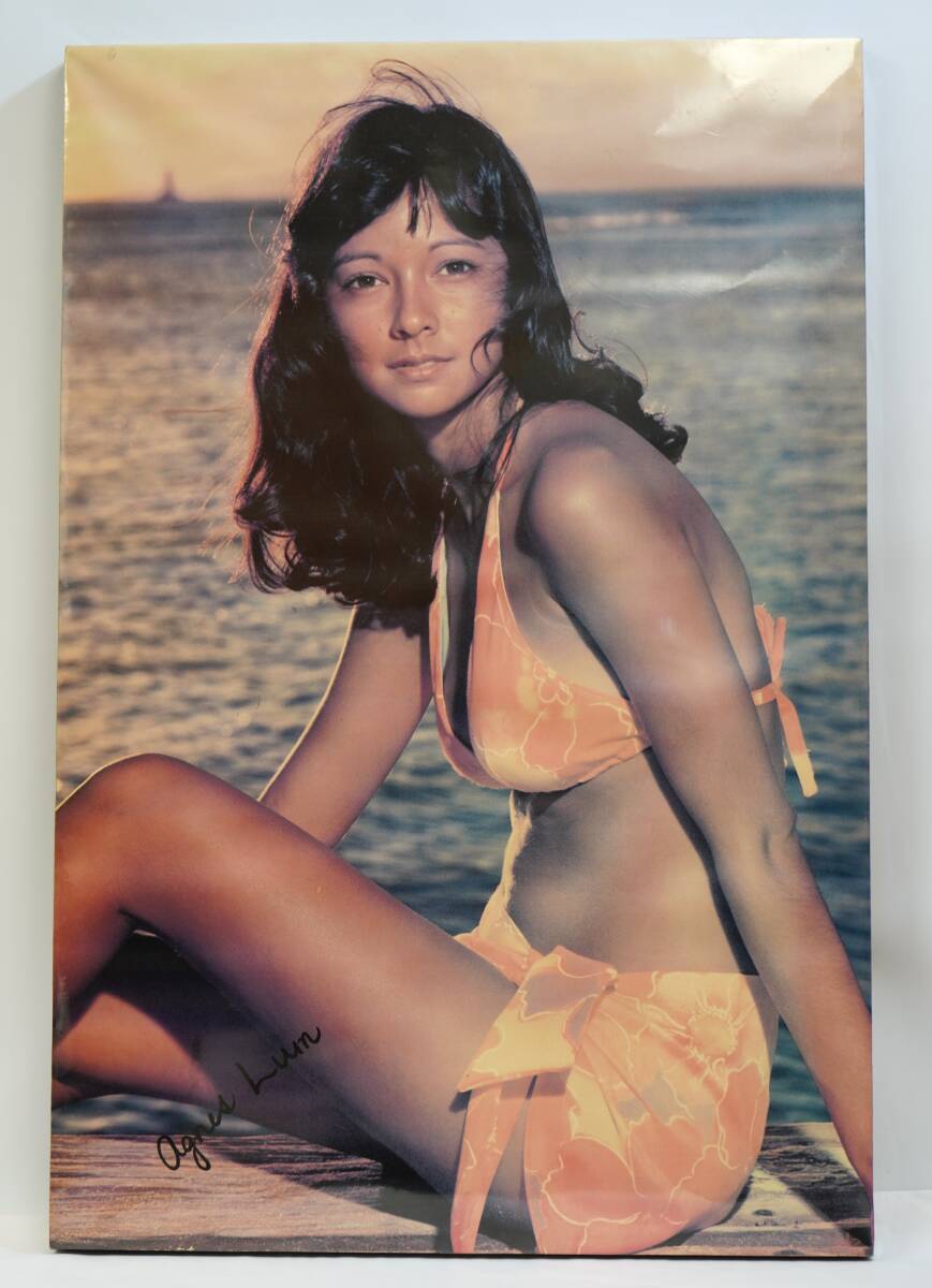 Yahoo!オークション - アグネス ラム ポスター 木製パネル アイドル 水