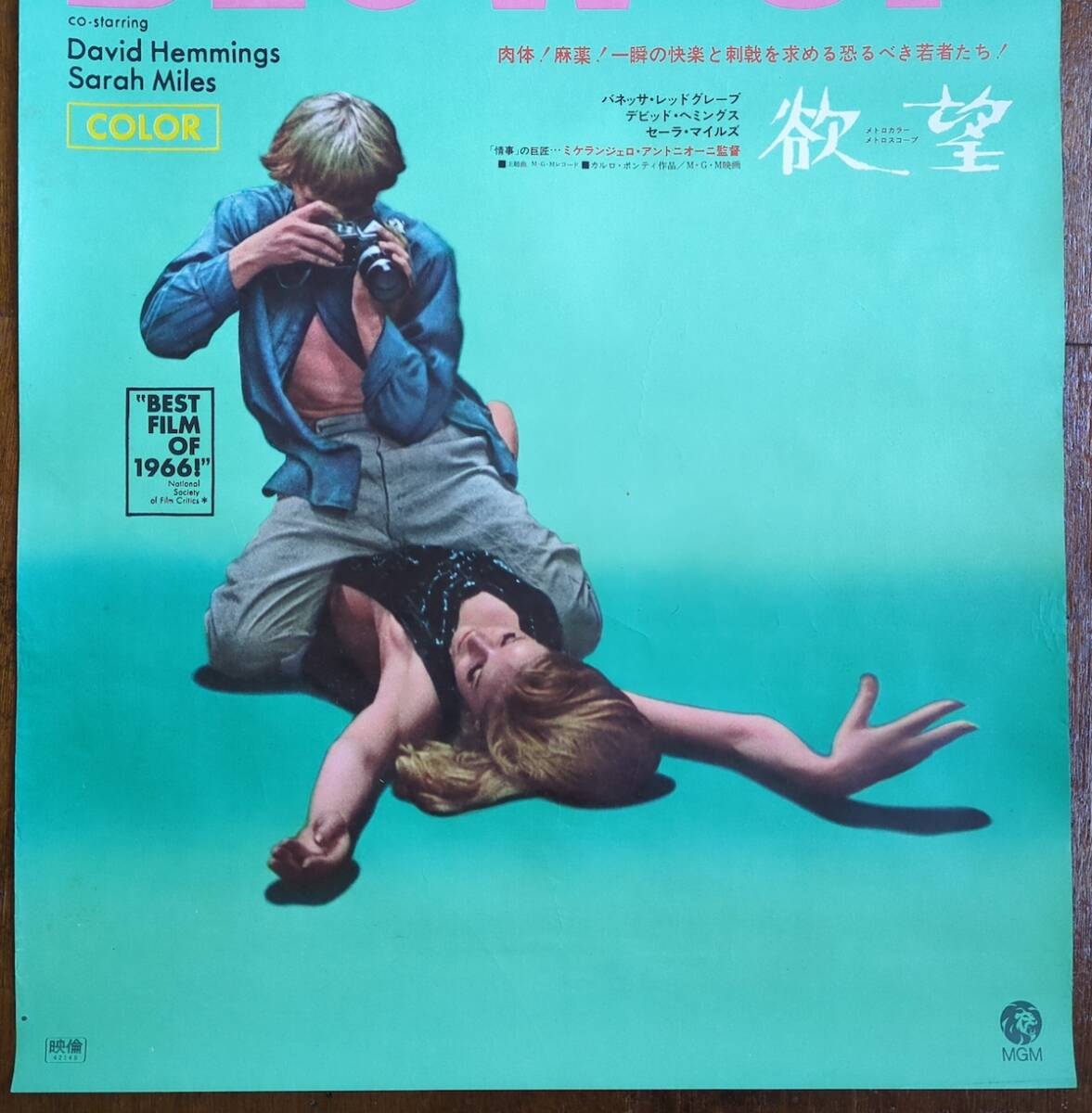 Yahoo!オークション - 映画 ポスター B2サイズ 大判 当時物 美品 欲望