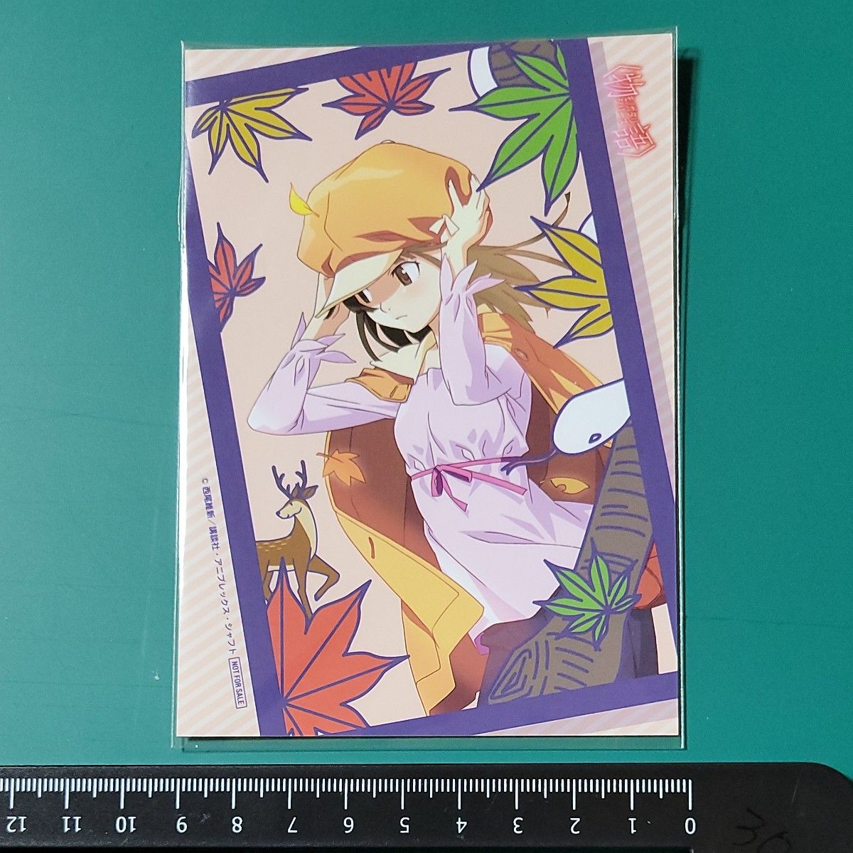 物語シリーズ 特典 花札柄 プロマイド ポストカード 千石撫子 忍野忍