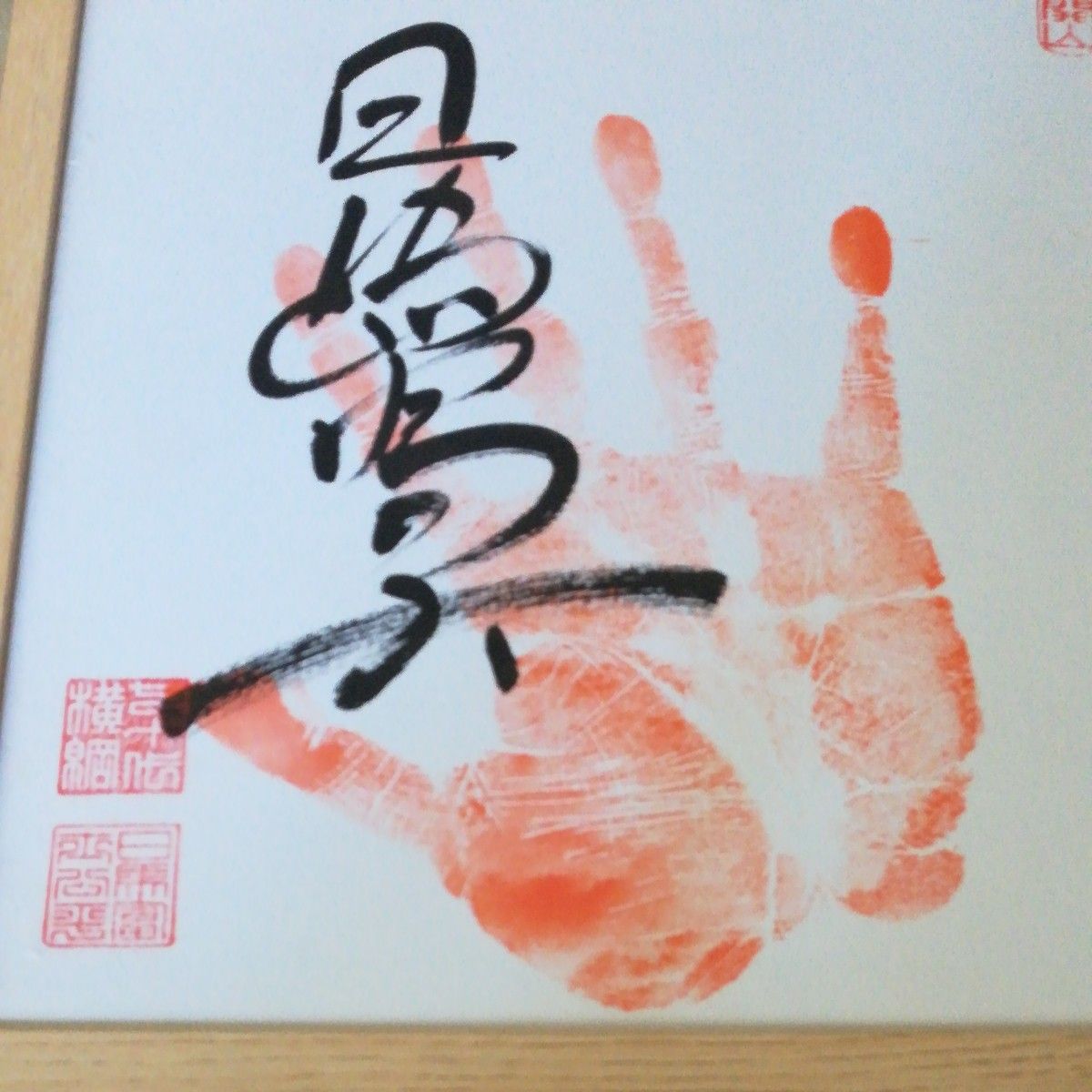 大相撲 横綱日馬富士 直筆サイン手形 額入り｜Yahoo!フリマ（旧PayPay