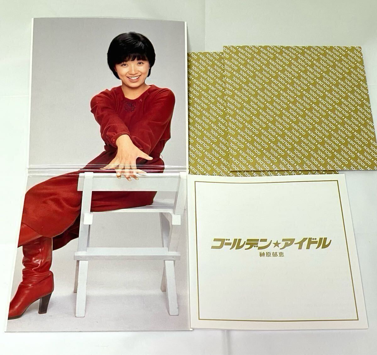 Yahoo!オークション - ゴールデンアイドル 榊原郁恵
